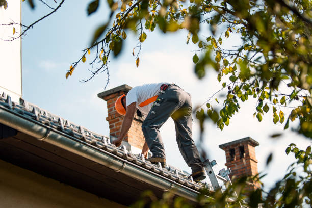 Best Storm Damage Roof Repair  in Hawaiian Beaches, HI